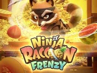 Ninja Racoon Frenzy icon